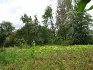Дем'янці з panoramio.com - Демьянцы