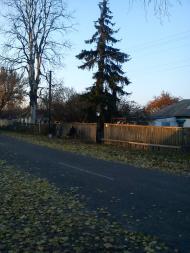 Жердова з panoramio.com