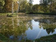 Колодяжне з panoramio.com