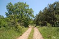 Красна Зоря з panoramio.com