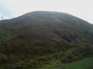 Вільхівчик з panoramio.com