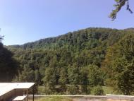 Осій з panoramio.com