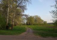 Морозівка з panoramio.com