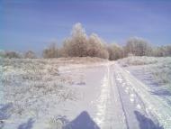 Залиман з panoramio.com