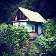 Нижній Бистрий з panoramio.com