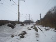 Шарки - Останні фото