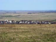 Картушине з panoramio.com