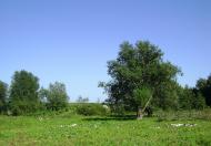 Гнатівка з panoramio.com