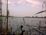 Новомильськ з panoramio.com