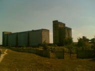 Сорока з panoramio.com