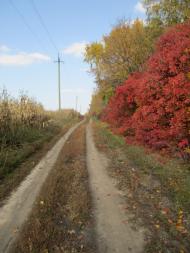 Лаврики з panoramio.com