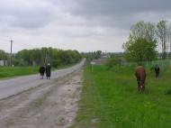 Маковичі з panoramio.com