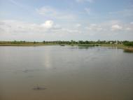 Петрівське - Останні фото