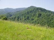 Сіль з panoramio.com