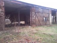 Добросин з panoramio.com