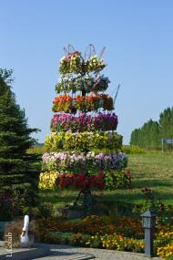 Новики з panoramio.com