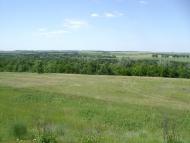 Брагинці з panoramio.com