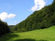 Осій з panoramio.com