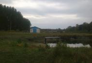 Кринички з panoramio.com