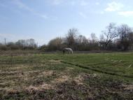 Мале з panoramio.com