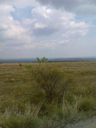 Топорівці з panoramio.com