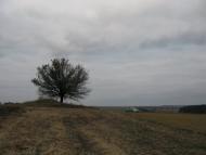 Райки з panoramio.com