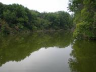 Верхньокам'янка з panoramio.com