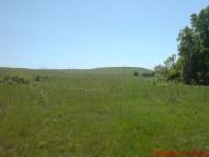 Павлівка з panoramio.com