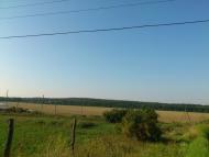 Бірки з panoramio.com