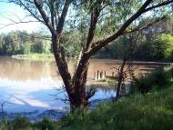 Мала Снітинка з panoramio.com