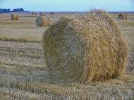 Порфирівка з panoramio.com