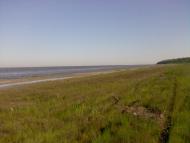 Ленінське з panoramio.com