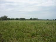 Широка Балка з panoramio.com