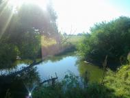 Сорока - Последние фото