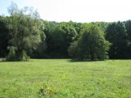 Яреськи з panoramio.com