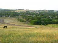 Мишурин Ріг з panoramio.com - Мишурин Рог