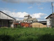 Гужівка з panoramio.com