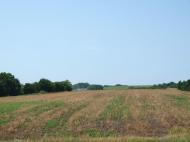 Пустовари з panoramio.com