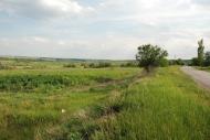 Пильна з panoramio.com