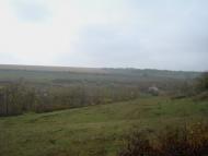 Кузьминчик з panoramio.com