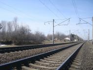 Коричинці з panoramio.com