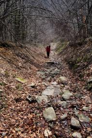 Біласовиця з panoramio.com