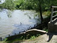 Брагинці з panoramio.com