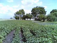 Лідава з panoramio.com