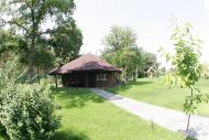 Синиця з panoramio.com