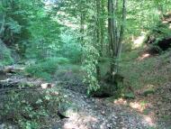 Зарічне з panoramio.com