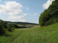 Пуків з panoramio.com