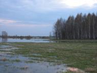 Озаричі з panoramio.com