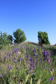 Райки з panoramio.com