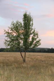 Деркачівка з panoramio.com